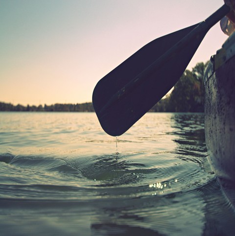 Paddle in lake water