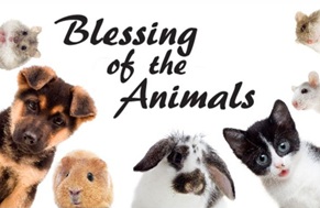 blessing of the animals