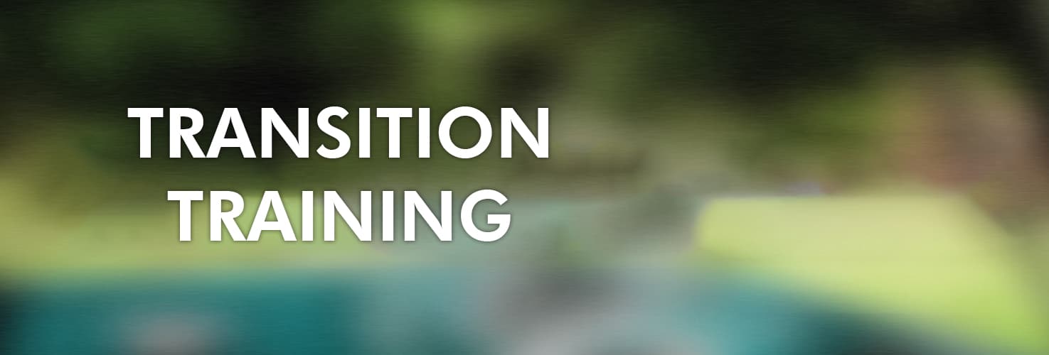 Hamony in transition