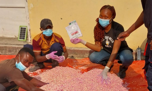 Congo Farming